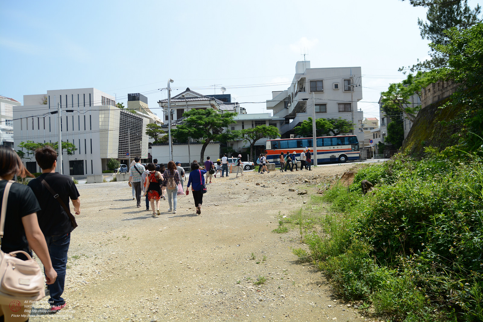 DSC_3409.jpg